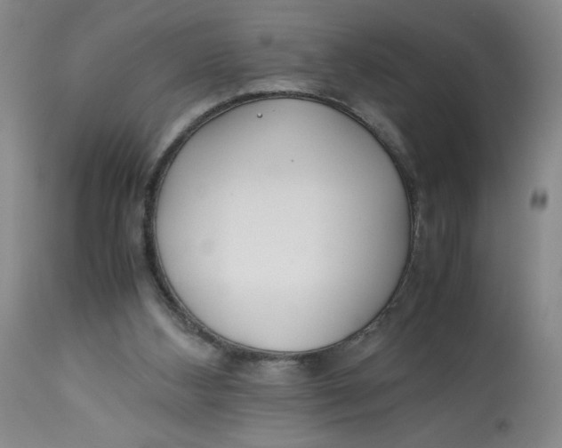 X0000113150108200909251337