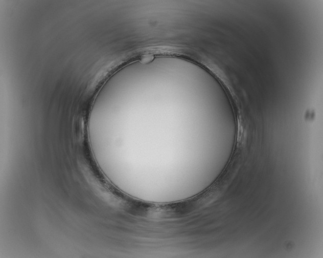 X0000113150109200909251337