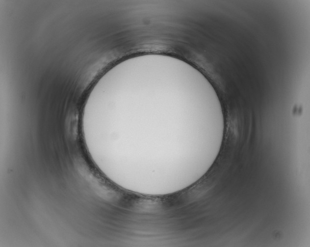 X0000113150110200909251337