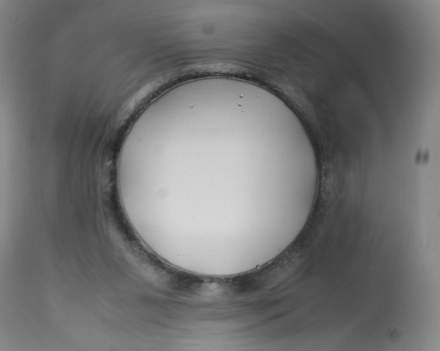 X0000113150111200909251337