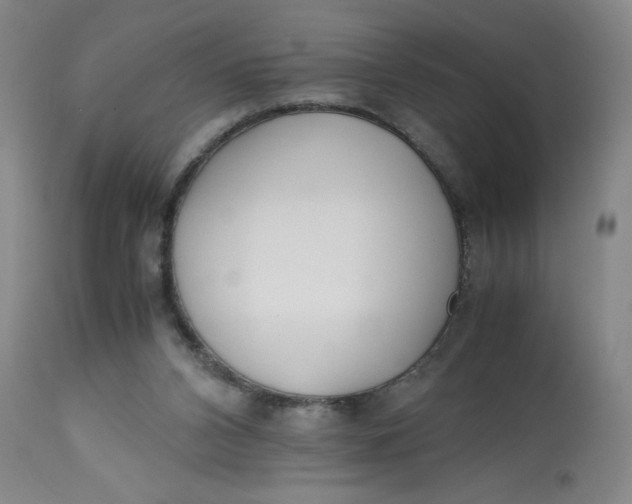 X0000113150112200909251337