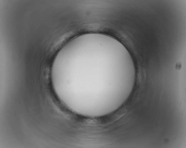 X0000113150115200909251337