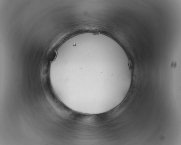 X0000113150116200909251337