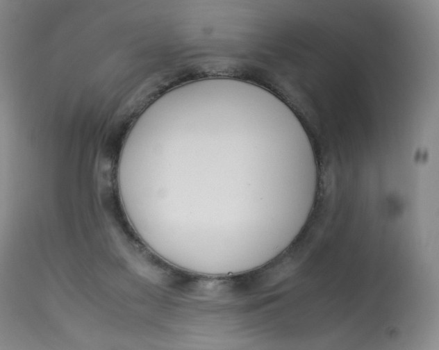 X0000113150117200909251337