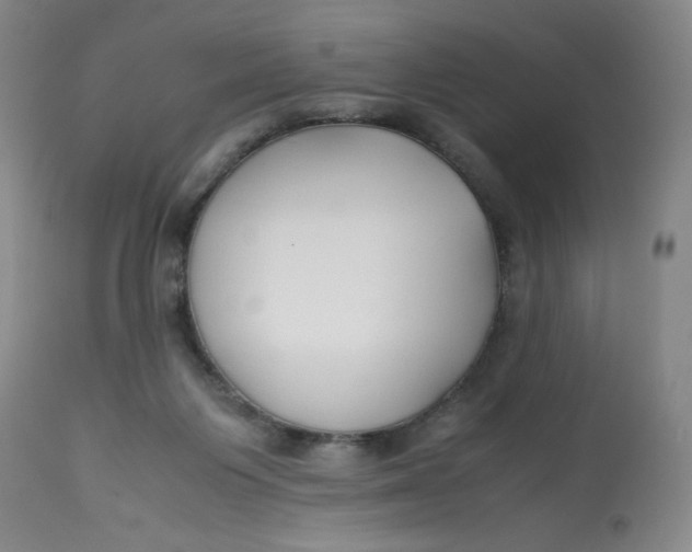 X0000113150119200909251337