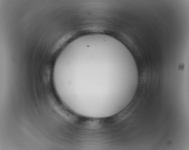 X0000113150120200909251337