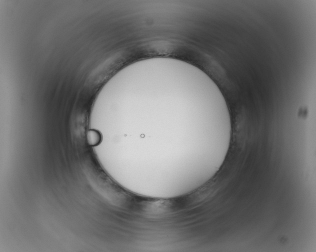 X0000113150122200909251337