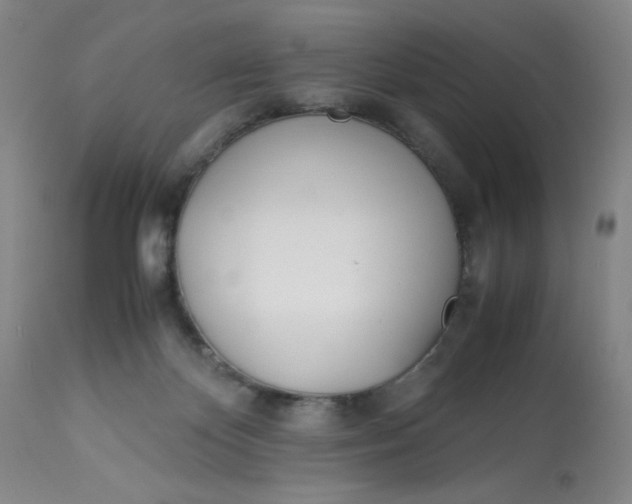 X0000113150124200909251337