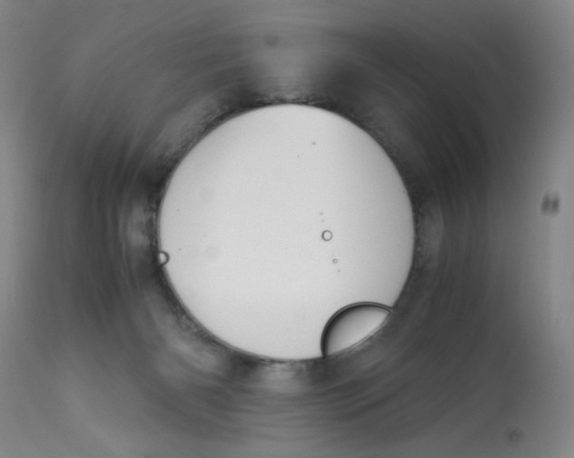 X0000113150126200909251337