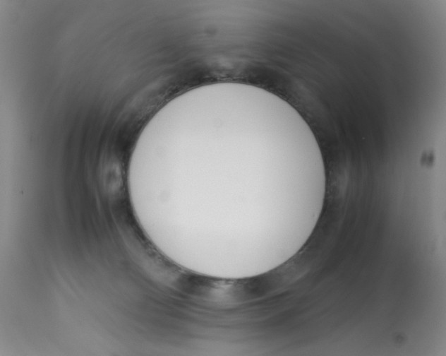 X0000113150130200909251337