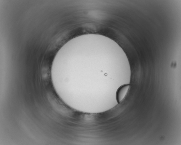 X0000113150134200909251337