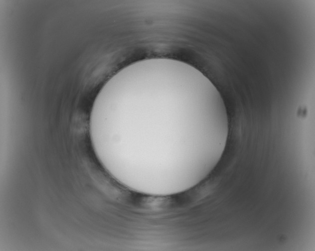 X0000113150135200909251337