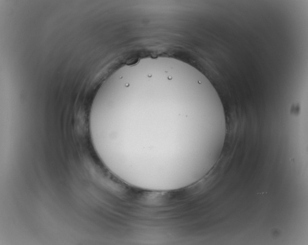 X0000113150136200909251337