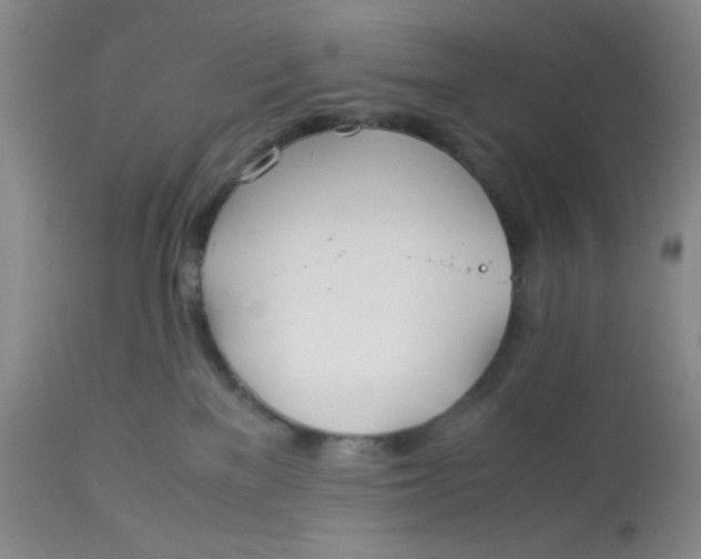 X0000113150137200909251337