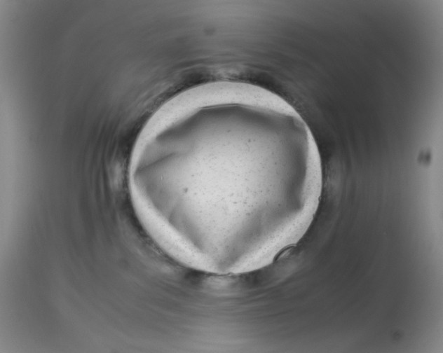 X0000113150139200909251337