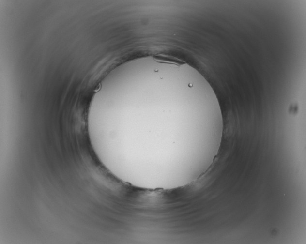 X0000113150140200909251337