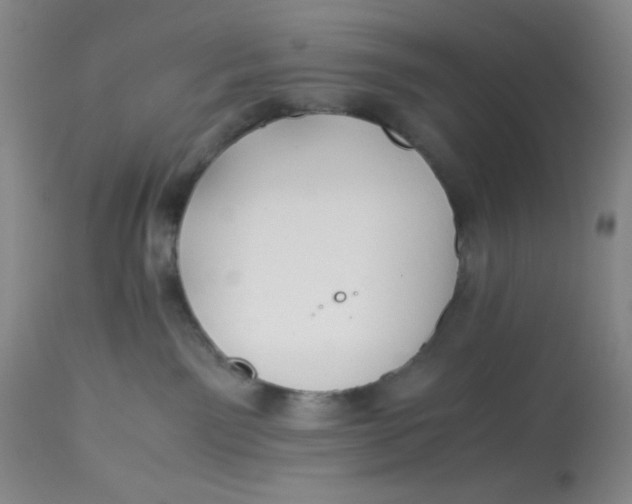 X0000113150141200909251337