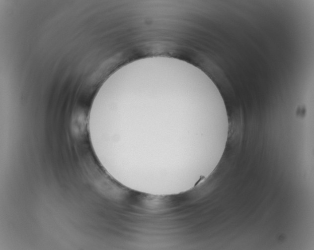 X0000113150142200909251337