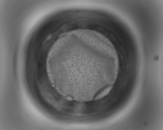 X0000113150143200909251337