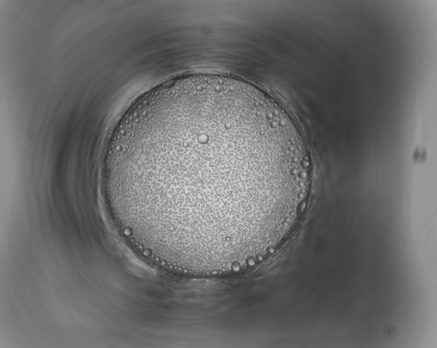 X0000113150145200909251336