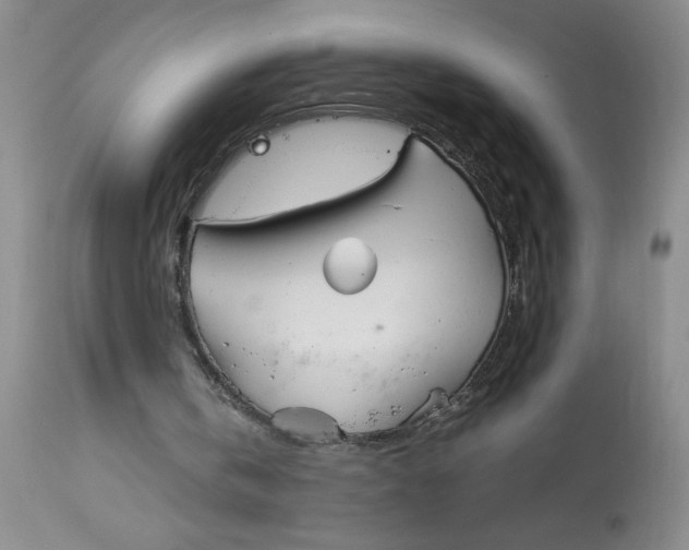 X0000113150146200909251336