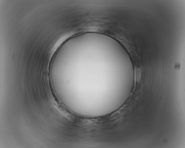 X0000113150147200909251336