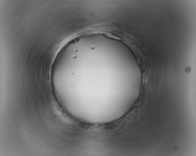 X0000113150148200909251336