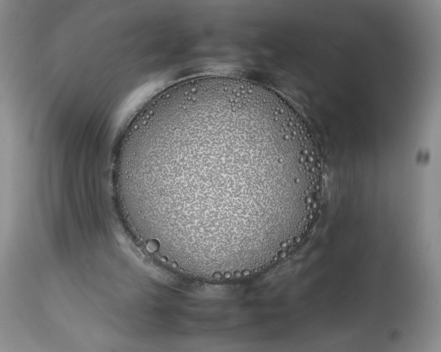 X0000113150149200909251336