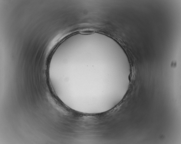 X0000113150150200909251336