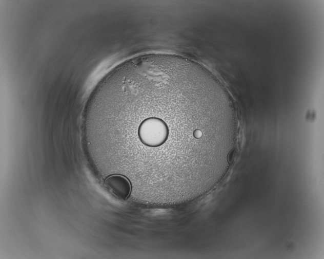 X0000113150151200909251336