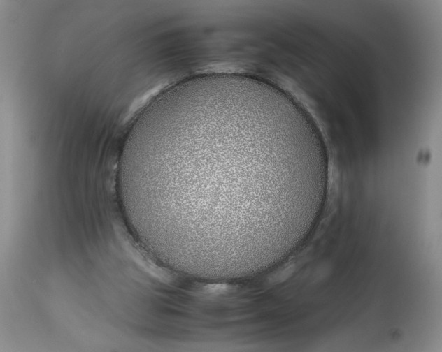 X0000113150153200909251336