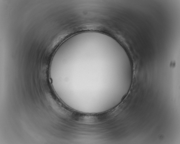 X0000113150154200909251336