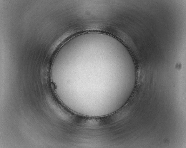 X0000113150156200909251336