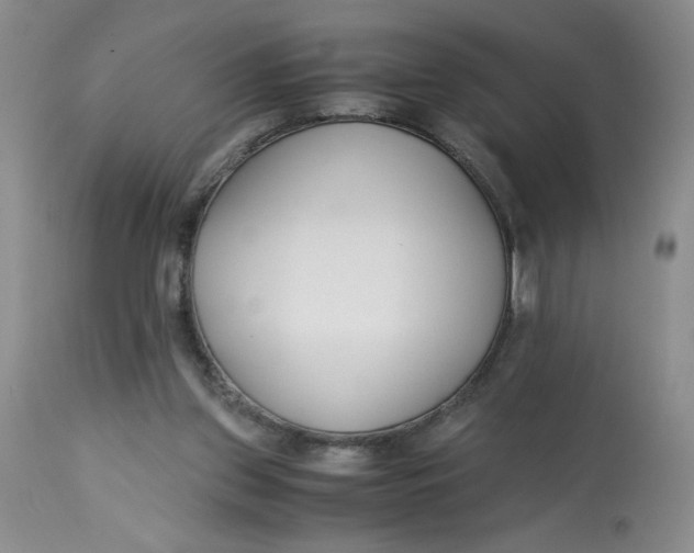 X0000113150157200909251336