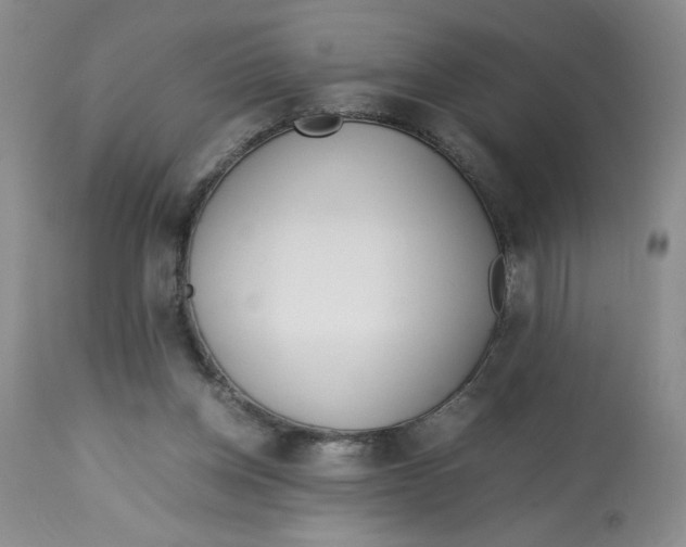 X0000113150158200909251336