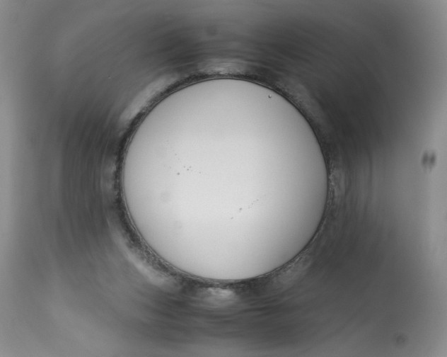 X0000113150159200909251336