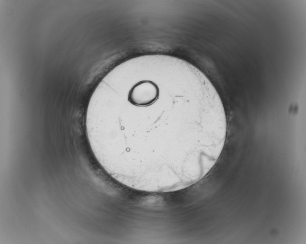 X0000113150162200909251336