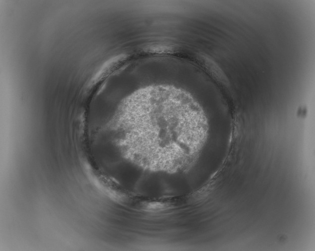 X0000113150163200909251336