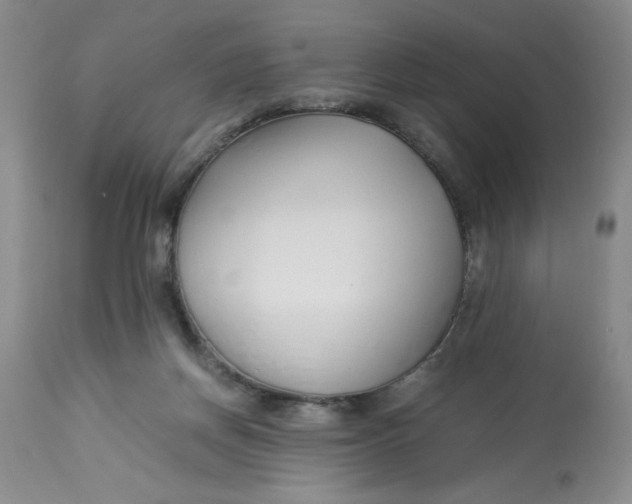 X0000113150166200909251336