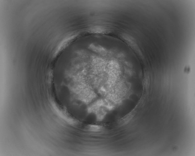 X0000113150167200909251336