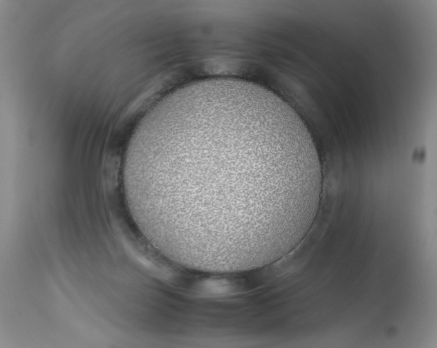 X0000113150171200909251336