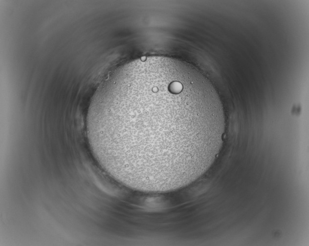 X0000113150173200909251336