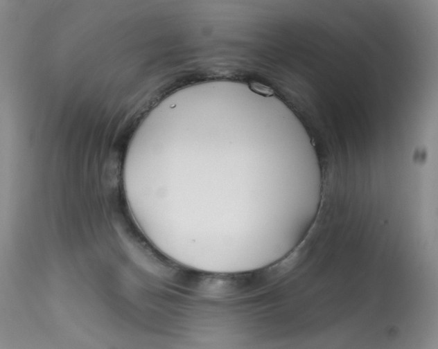 X0000113150174200909251337