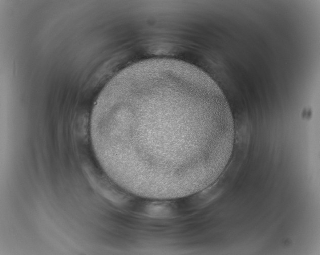 X0000113150175200909251337