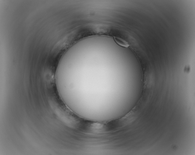 X0000113150176200909251337