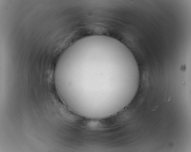 X0000113150177200909251337