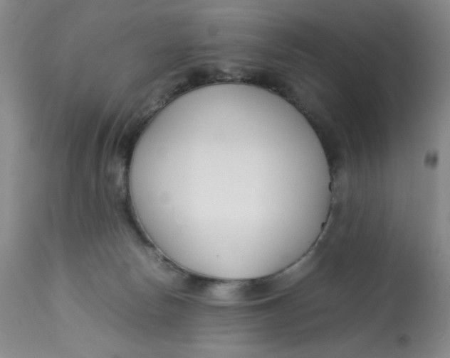 X0000113150178200909251337