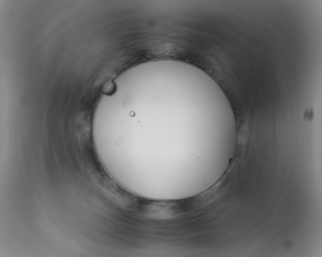 X0000113150179200909251337