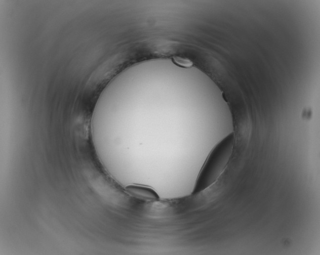 X0000113150180200909251337