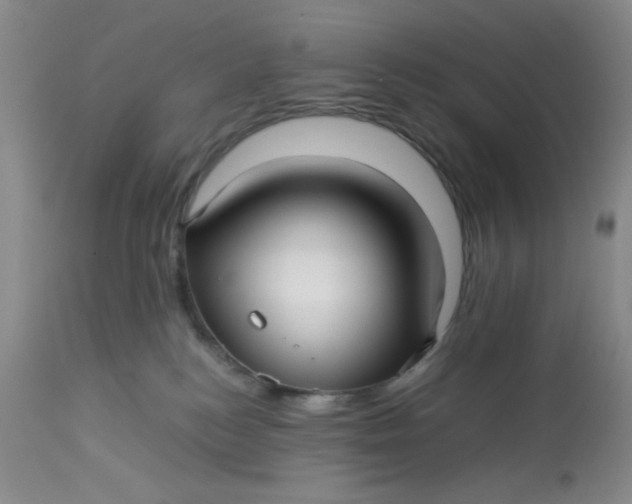 X0000113150184200909251337